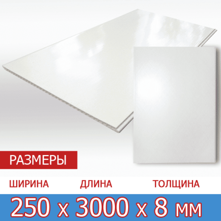 Белая глянцевая панель ПВХ 3000х250х8 мм